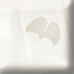 index.impressum.weiss